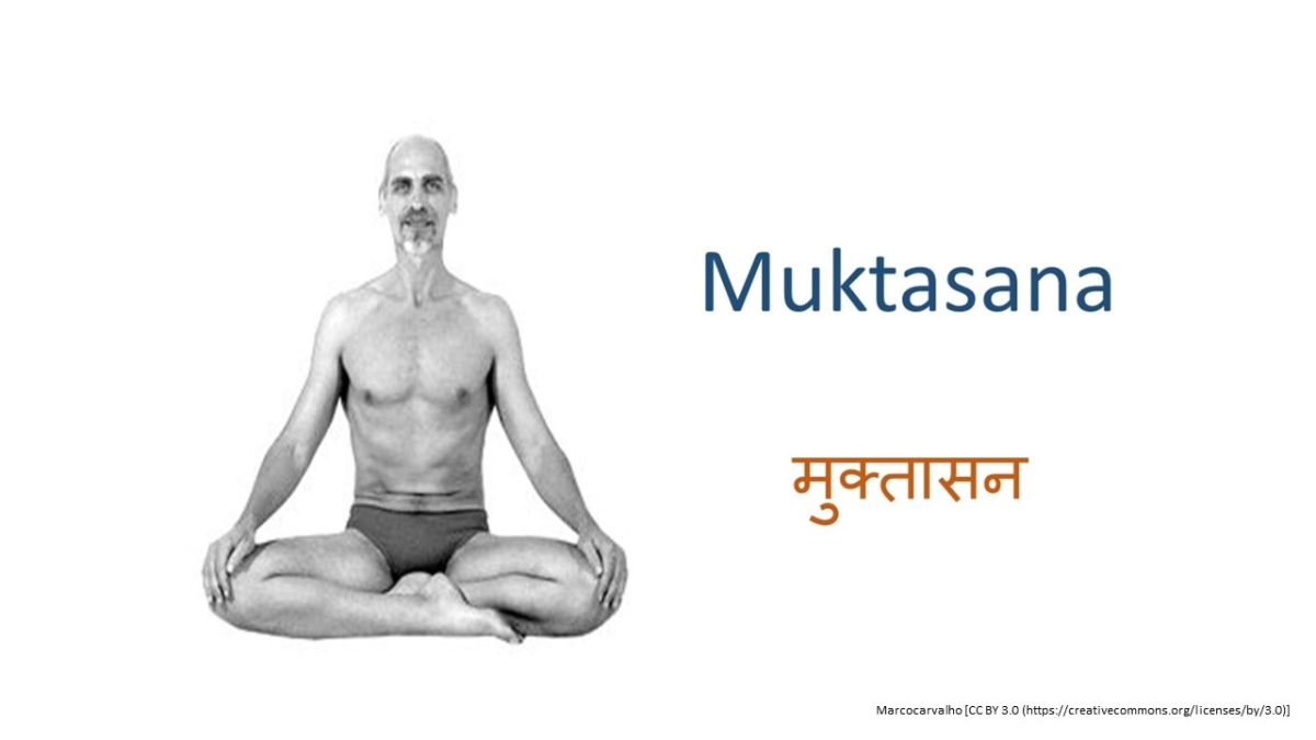 Siddhasana Accomplished Pose Chin Mudra Yoga Stock Vector (Royalty Free)  1145132822 | Shutterstock