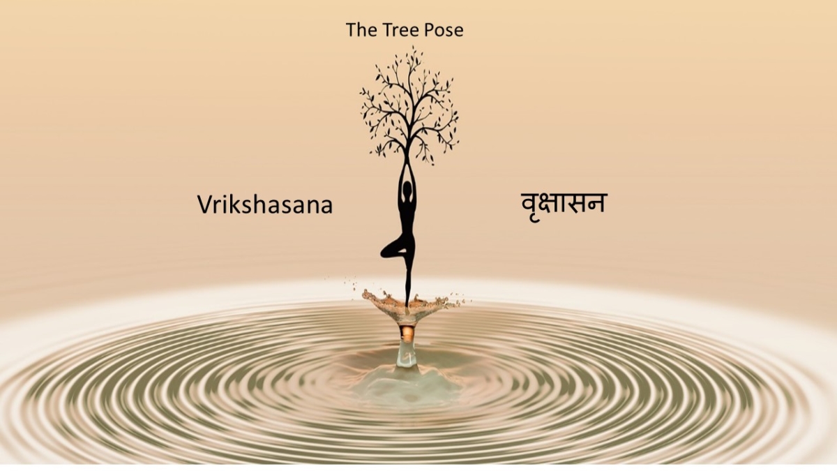 Vrikshasana tree pose Cut Out Stock Images & Pictures - Alamy