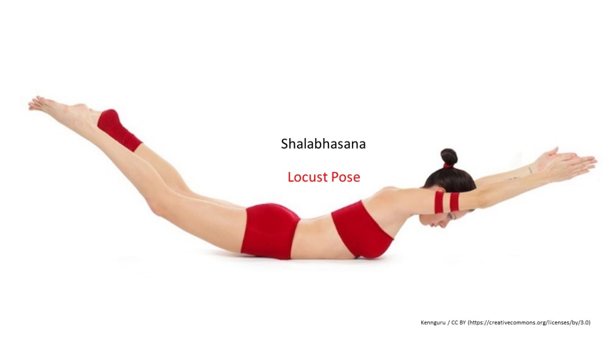 Dhanurasana (Bow Pose) | How to do | Benefits | Video | Steps | The Art Of  Living Global