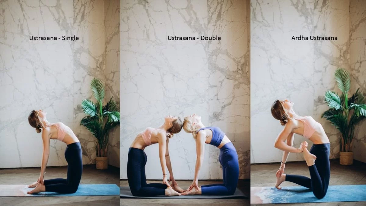 Dwikonasana (Double Angle Pose) Its Steps and Benefits